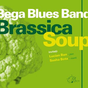 Brassica Soup
