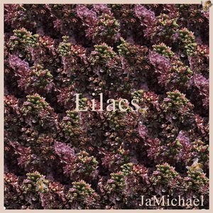 Lilacs