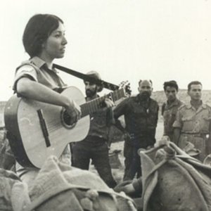 Avatar di שולי נתן