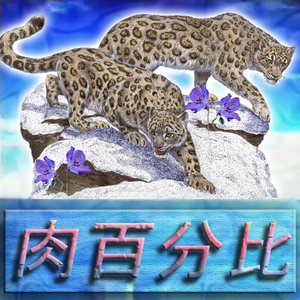 f̗l̗e̗s̗h̗-̗p̗e̗r̗c̗e̗n̗t̗a̗g̗e̗-[%].mov