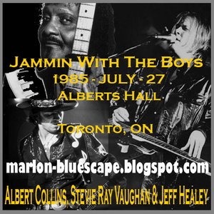 Imagem de 'Albert Collins, Stevie Ray Vaughan & Jeff Healey'