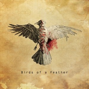 Birds of a Feather