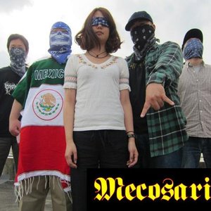 Mecosario 的头像