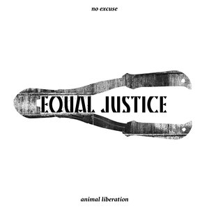 Image for 'Equal Justice'