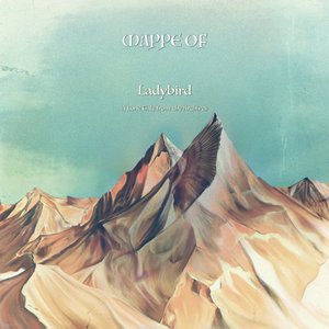 Ladybird - Single