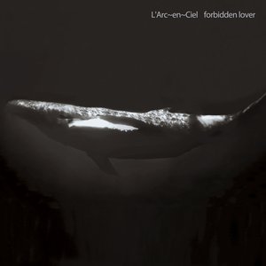 Forbidden Lover