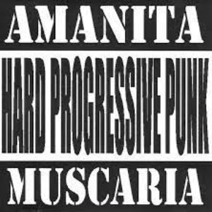 Hard Progressive Punk