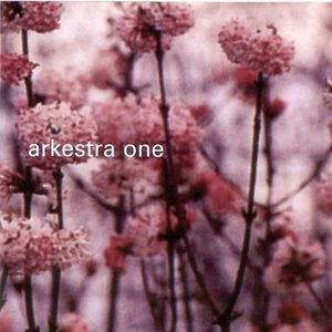 “Arkestra One”的封面