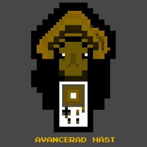 “Avancerad Häst”的封面