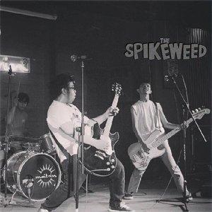 Avatar de The Spikeweed