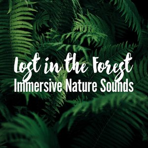 Lost in the Forest