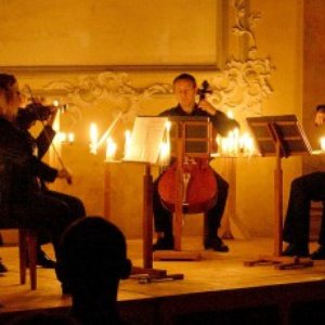 Vlach Quartet 的头像