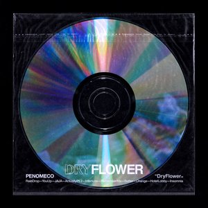 Dry Flower