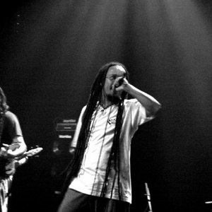 Rasta Voice 的头像