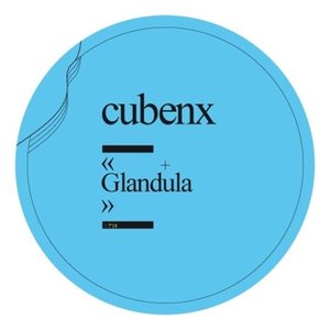 Glandula