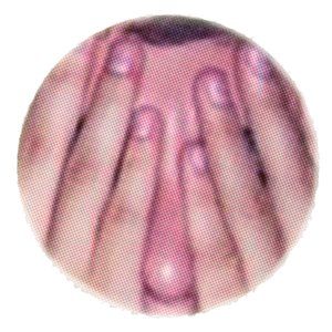 Аватар для deejay xanax