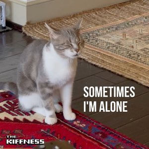 Sometimes I'm Alone (Lonely Cat) - Single