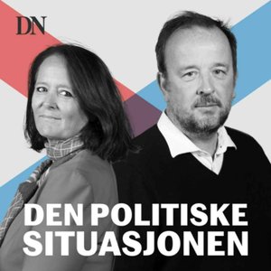 Den politiske situasjonen 的头像