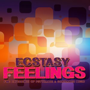 Ecstasy Feelings (Fine Experience of PsyTrance and Goatrance Music)
