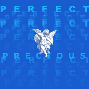 Perfect Precious