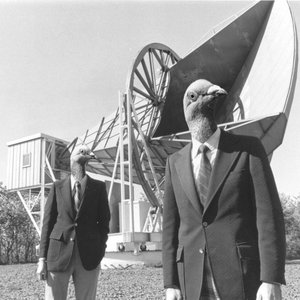 An Ode to the Sacrificial Pigeons of the Holmdel Horn Antenna