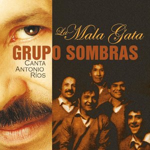 La mala gata