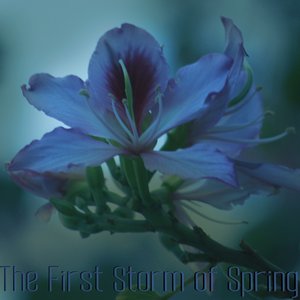 'The First Storm of Spring' için resim