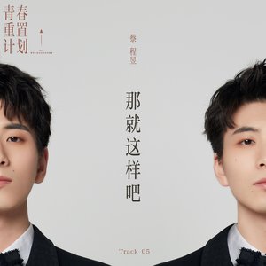 那就这样吧