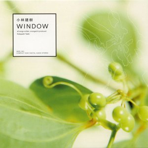 Window