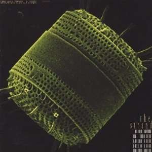 Diatom