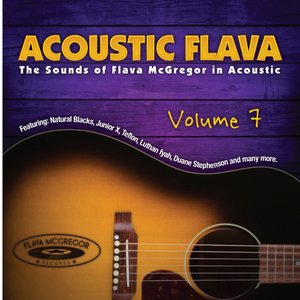 Acoustic Flava, Vol. 7