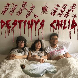 Bed Bugs