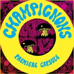 Champignons 的头像