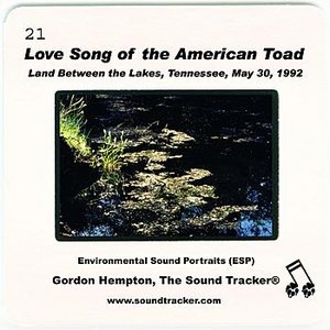 Love Song of the American Toad