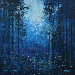 Bloom - EP