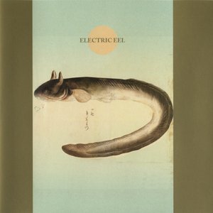 Image for 'Electric Eel'