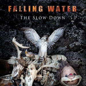 Image for 'The Slow Down'