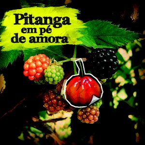 Ao Vivo no Cachuera