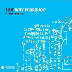 Why Pourquoi (I Think I Like You)