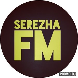 SerezhaFM 的头像