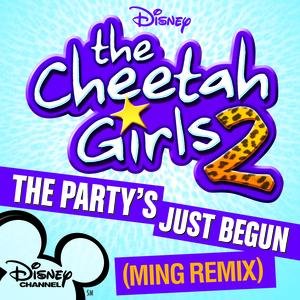 The Party's Just Begun (Ming Remix)