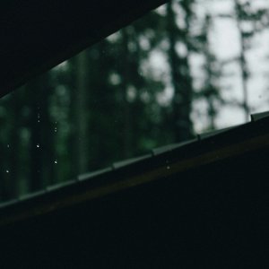 Summer In Hiding