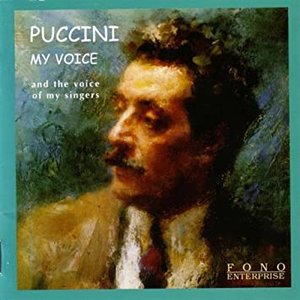 My Voice