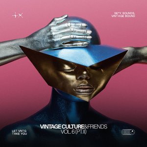 Vintage Culture & Friends, Vol. 6 (Pt. II) - Single
