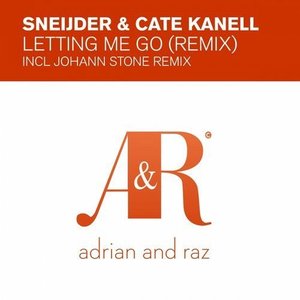 Letting Me Go (Remix)
