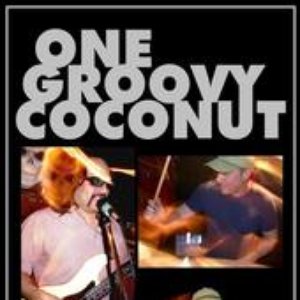 Avatar for One Groovy Coconut