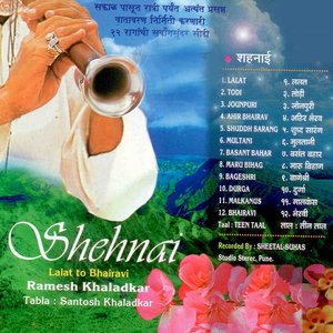 Shehnai