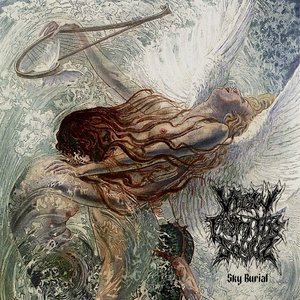 Sky Burial - Single