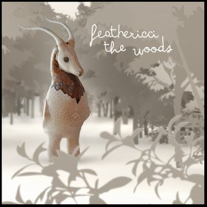 The Woods