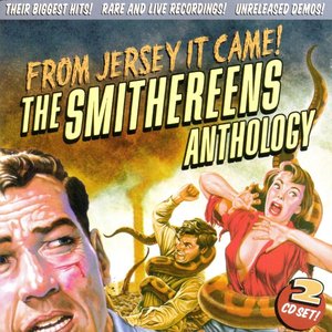 From Jersey It Came! The Smithereens Anthology